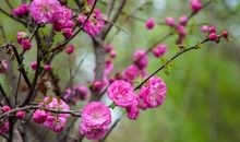 我发现我的植物长大了