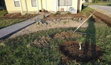 一段特殊的友谊