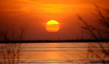 致冬日暖阳的小美好