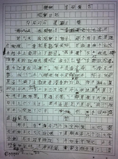 介绍橙色成分
