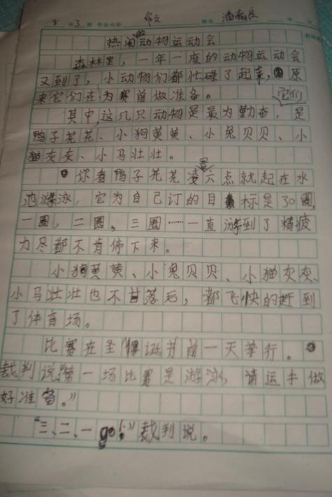 新年作文三年级