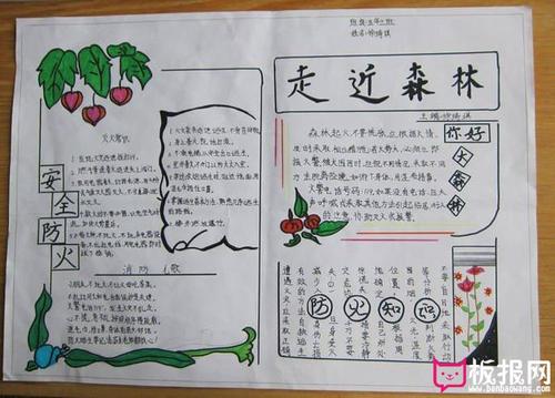 走进森林