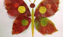 我学会了做树叶画