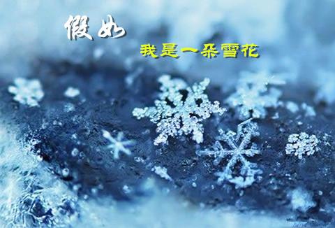 我是雪花