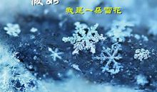 我是一朵雪花