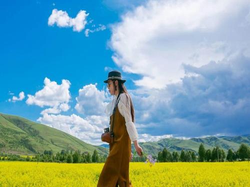 我的梦想旅程