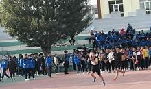 又是一年运动会