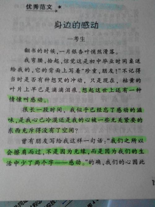 我被阅读所感动