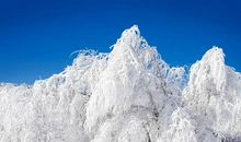 今冬的第一场雪