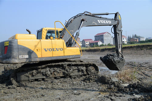 改造前后的泥塘