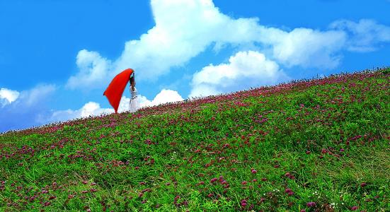 美丽的九彩屏