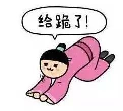 在没有寒冷的日子