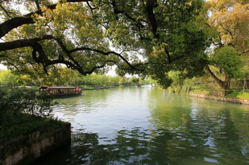 杭州湿地旅游笔记