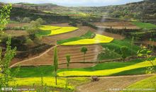 四季的田园风光