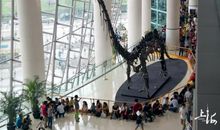 小区里的小镜头