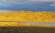 差点错过的风景