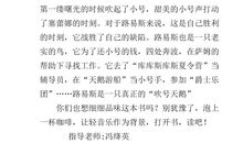 夏日天鹅读后感