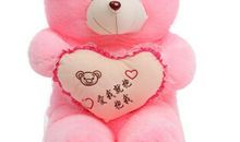 我的心爱之物泰迪熊