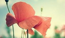 先苦后甜话明天