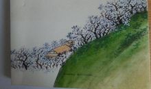 有爱不觉人生寒