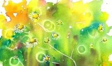 在没有阳光的日子里