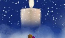 相遇，这样的美丽