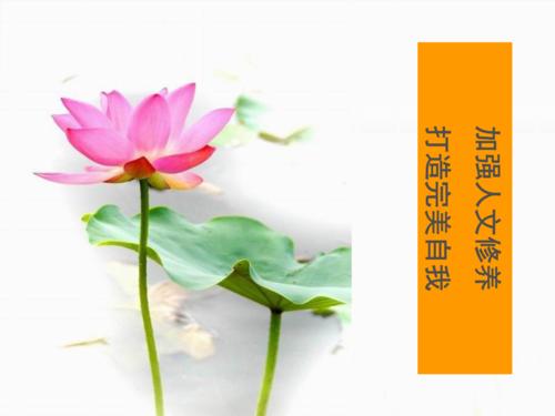 自我完善