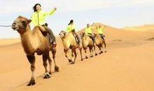 小骆驼和小红马再次相遇