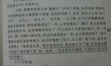 这都不是事作文