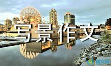 那个难忘的夜晚