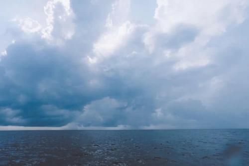 沉迷于雨中