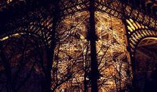 青春是道明媚的忧伤