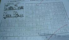 保护庄稼的好朋友看图写话