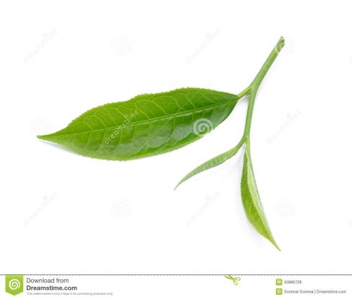 很棒的茶