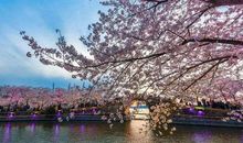 春天不一定是最美的季节