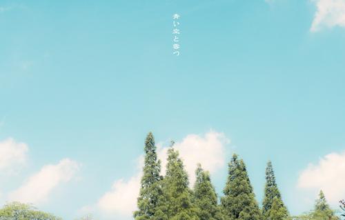 天空刷新了我的生活