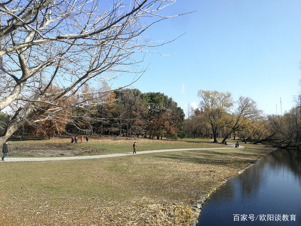 共青森林公园