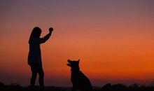 幸福的背后，是努力