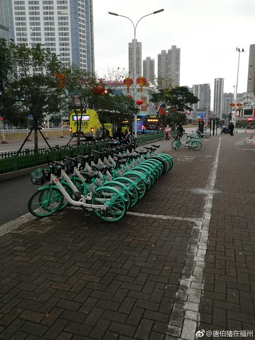 在大街上的小黄车