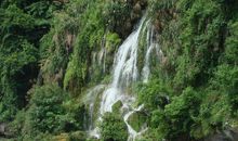 闲对风光独自游