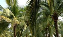 带着外婆去旅游