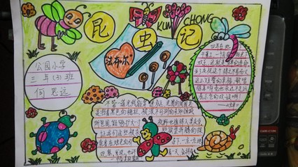 我发现了昆虫的秘密