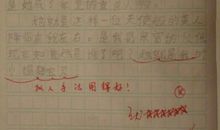 二年级作文好朋友200字