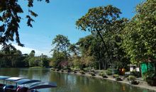 融入自然，放松自我