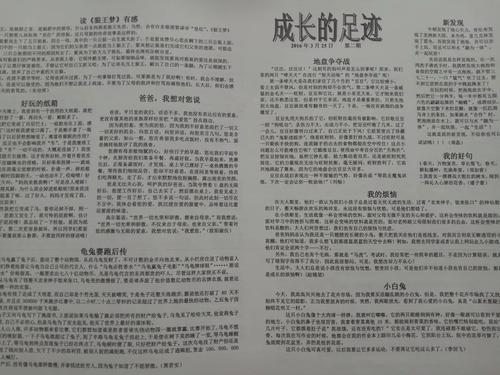 杨梅简介