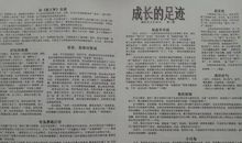 介绍杨梅的作文