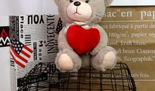 我心爱的小熊玩偶