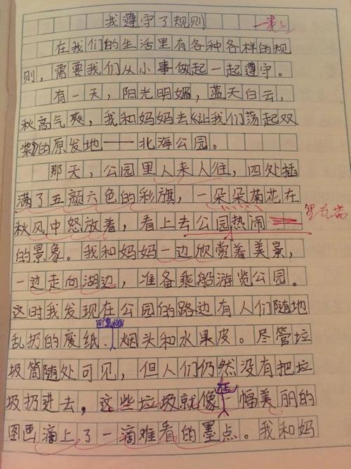 我选择遵守规则