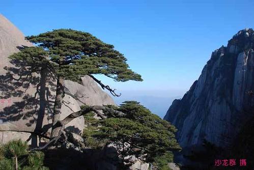 神奇的黄山之旅