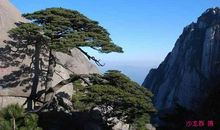 神奇的黄山之旅